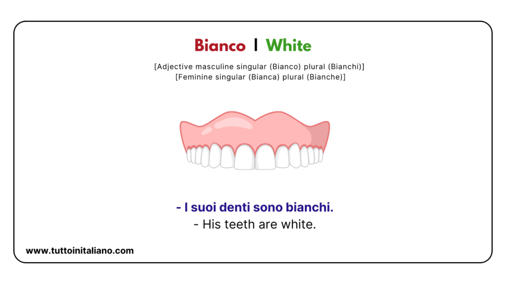 Italian A1 Vocabulary: Color names with easy examples for each word. 6 Italian a1 vocabulary