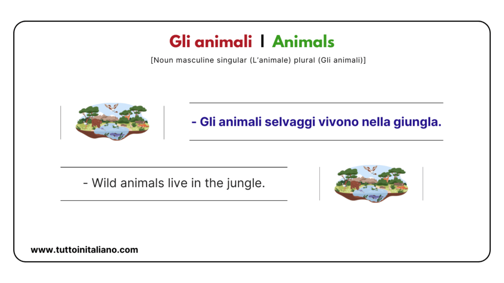 Italian vocab words