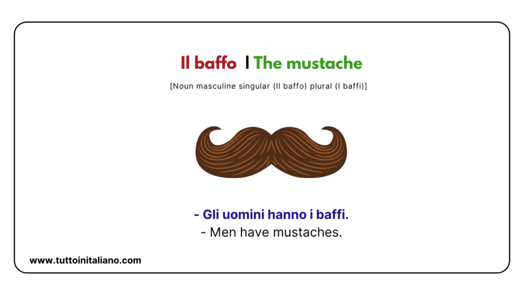 Italian words: the human body (part2) | 30+ words with easy examples. 15 Italian words