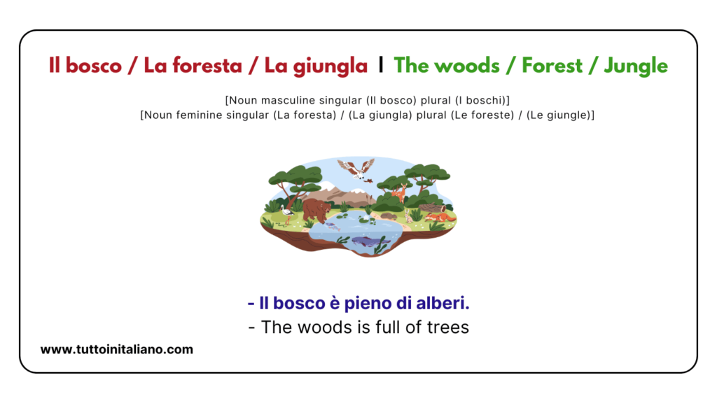 A1 Italian vocabulary: the nature | Learn 20+ easy Italian words with examples and audio. 30 A1 Italian vocabulary