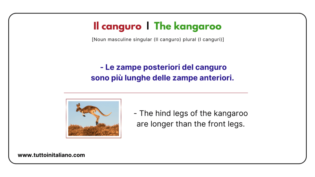 Italian vocab words