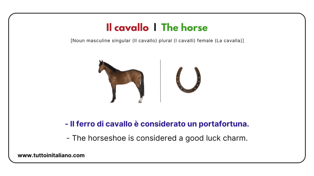 Italian vocab words