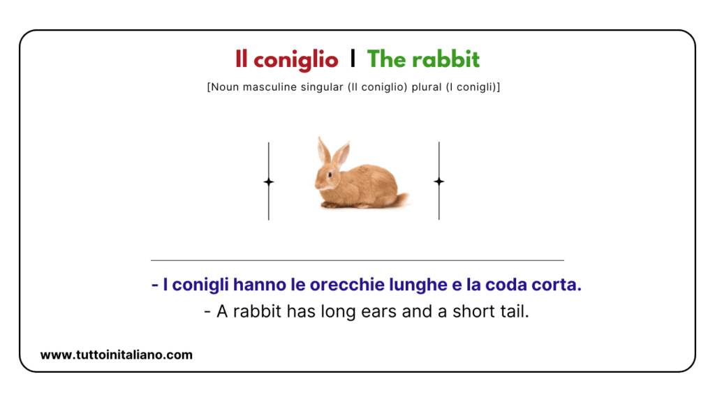 Italian vocab words