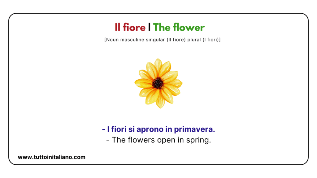 A1 Italian vocabulary: the nature | Learn 20+ easy Italian words with examples and audio. 9 A1 Italian vocabulary