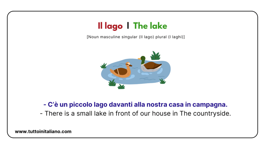 A1 Italian vocabulary: the nature | Learn 20+ easy Italian words with examples and audio. 17 A1 Italian vocabulary