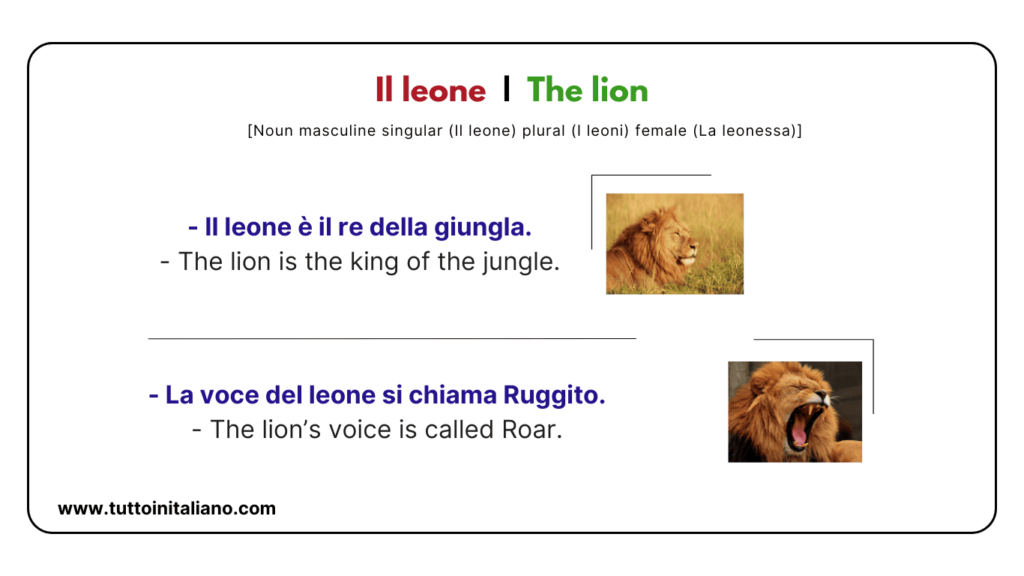 Italian vocab words