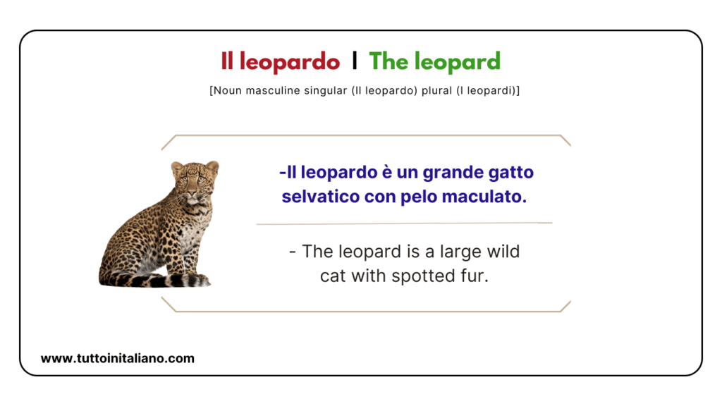 Italian vocab words