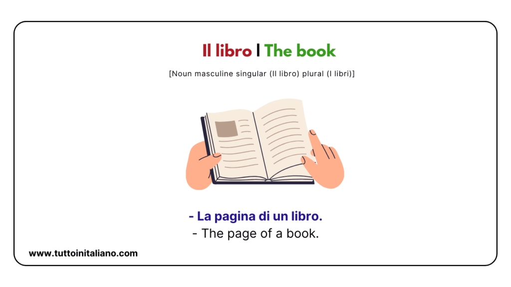 Italian Vocab