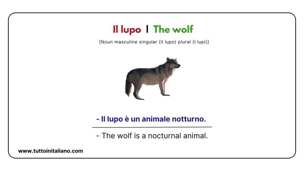 Italian vocab words