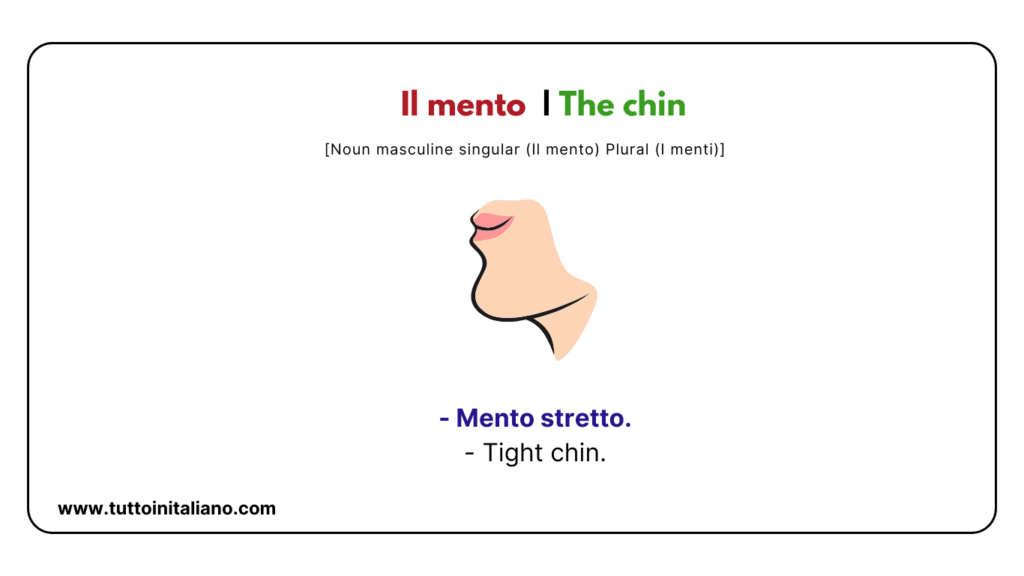 Italian words: the human body (part2) | 30+ words with easy examples. 7 Italian words