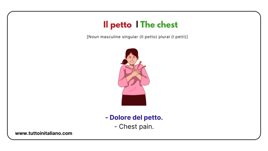 Italian words: the human body (part2) | 30+ words with easy examples. 23 Italian words