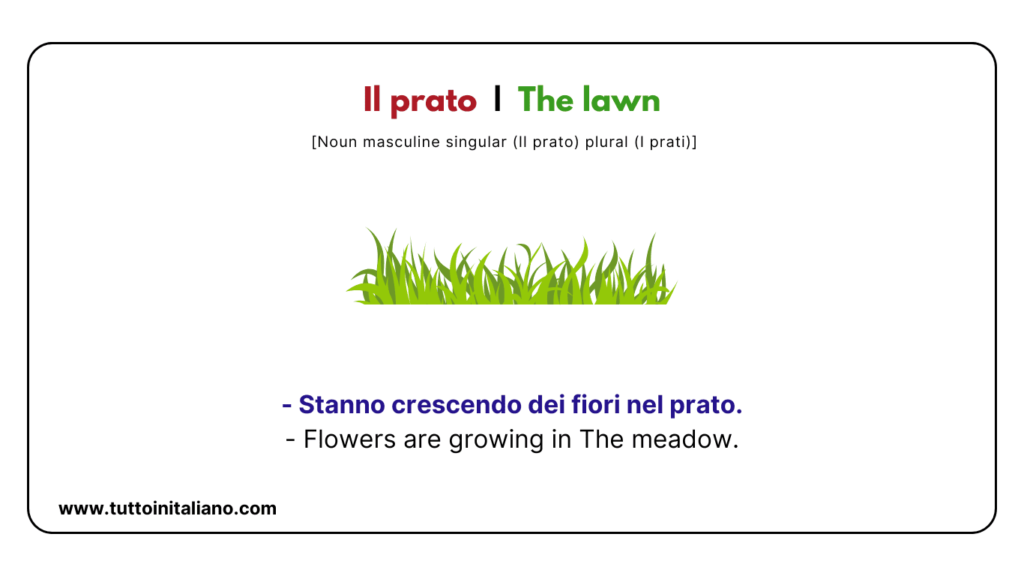 A1 Italian vocabulary: the nature | Learn 20+ easy Italian words with examples and audio. 24 A1 Italian vocabulary