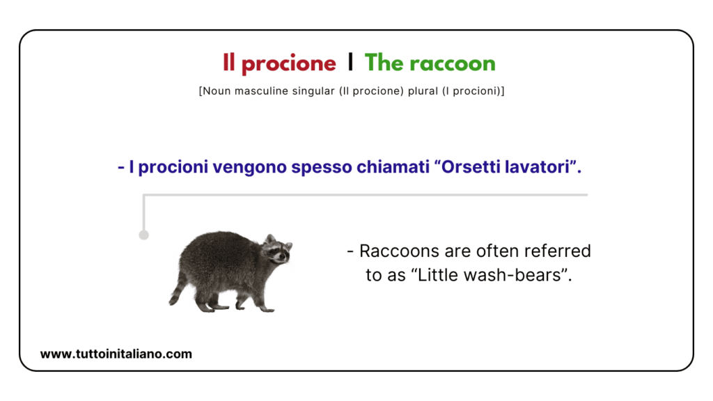 Italian vocab words