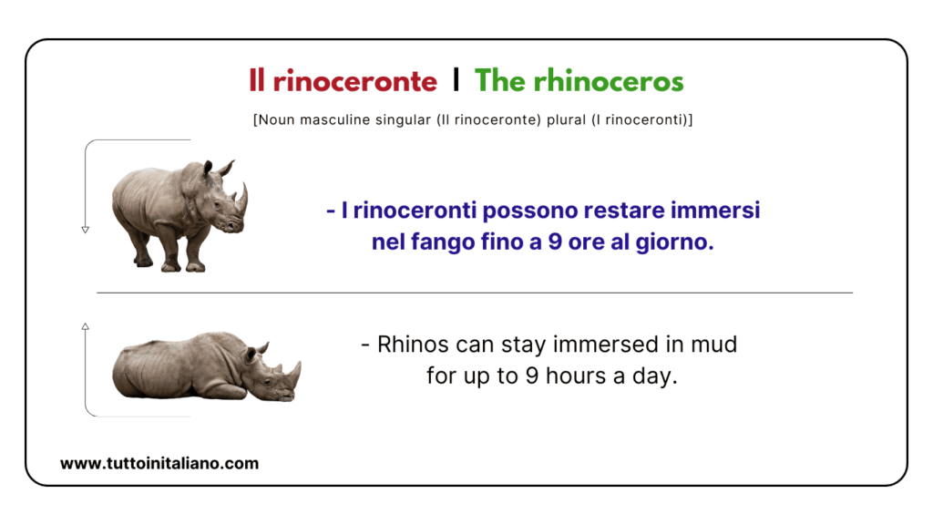 Italian vocab words