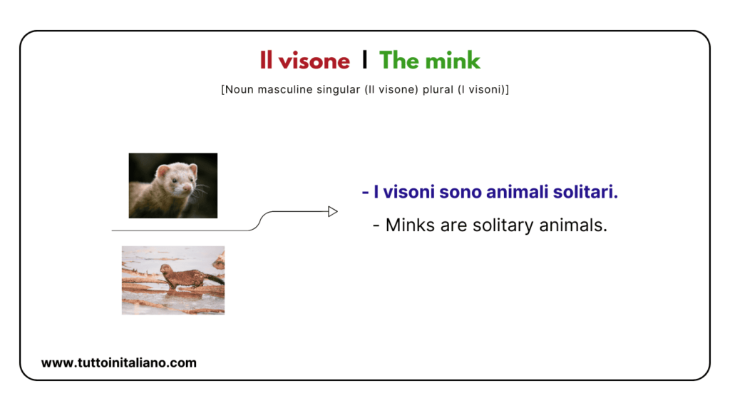 Italian vocab words