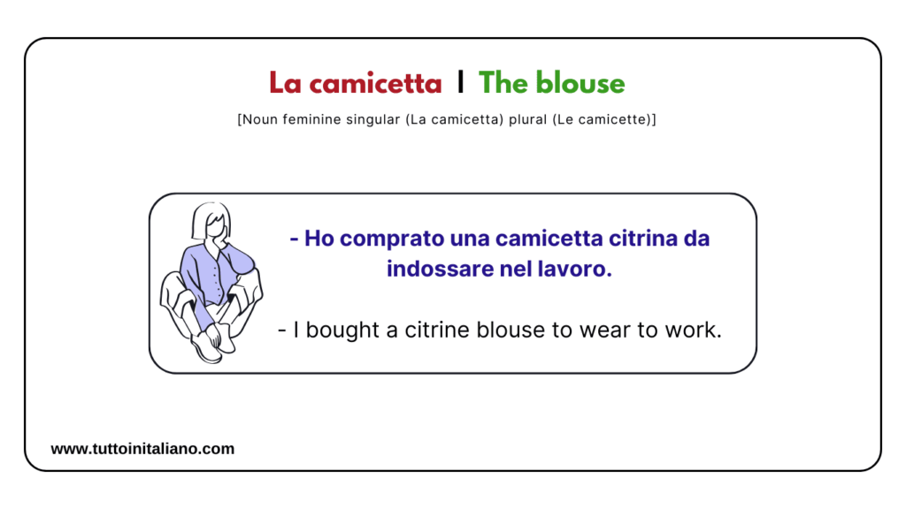 Basic Italian vocabulary lesson: The Clothes | 25+ Easy words with (examples and audio). 17 Basic Italian vocabulary