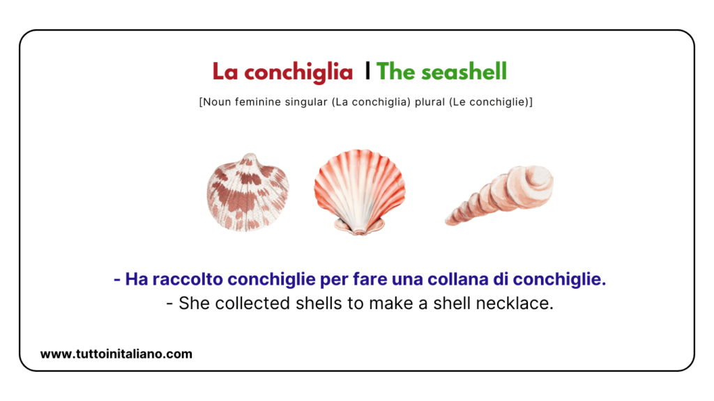 20+ Italian Vocabulary | The beach in Italian | Easy learn Italian words for intermediate level. 13 Beach In Italian