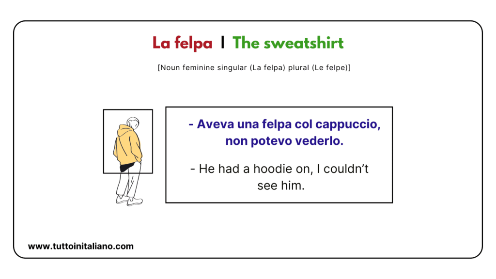 Basic Italian vocabulary lesson: The Clothes | 25+ Easy words with (examples and audio). 25 Basic Italian vocabulary