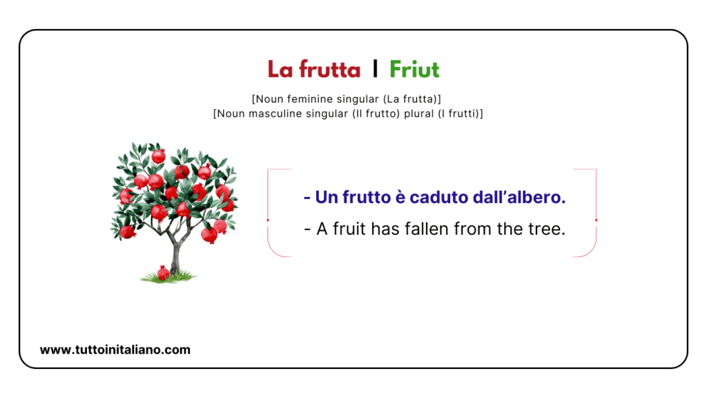 Italian Food and Drink vocab | 20+ Easy Italian vocabulary with (Examples). 29 Italian food and drink