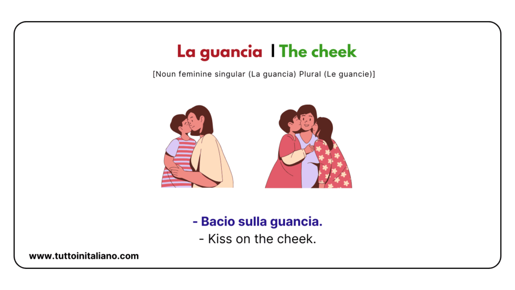 Italian words: the human body (part2) | 30+ words with easy examples. 8 Italian words
