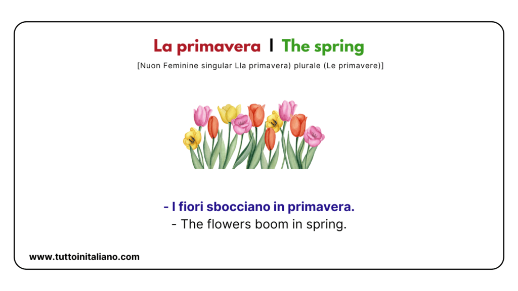 Italian vocabulary list