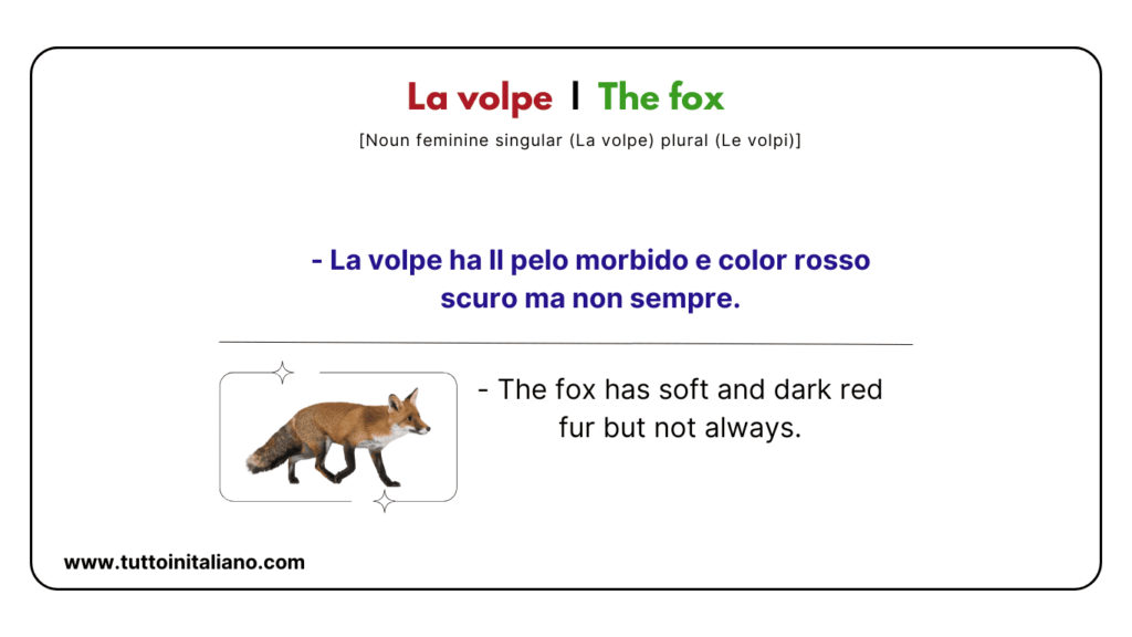 Italian vocab words