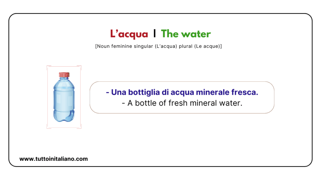 Italian Food and Drink vocab | 20+ Easy Italian vocabulary with (Examples). 7 Italian food and drink