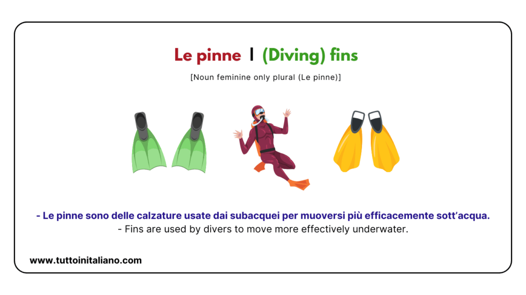 20+ Italian Vocabulary | The beach in Italian | Easy learn Italian words for intermediate level. 41 Le pinne Diving fins tuttoinitaliano
