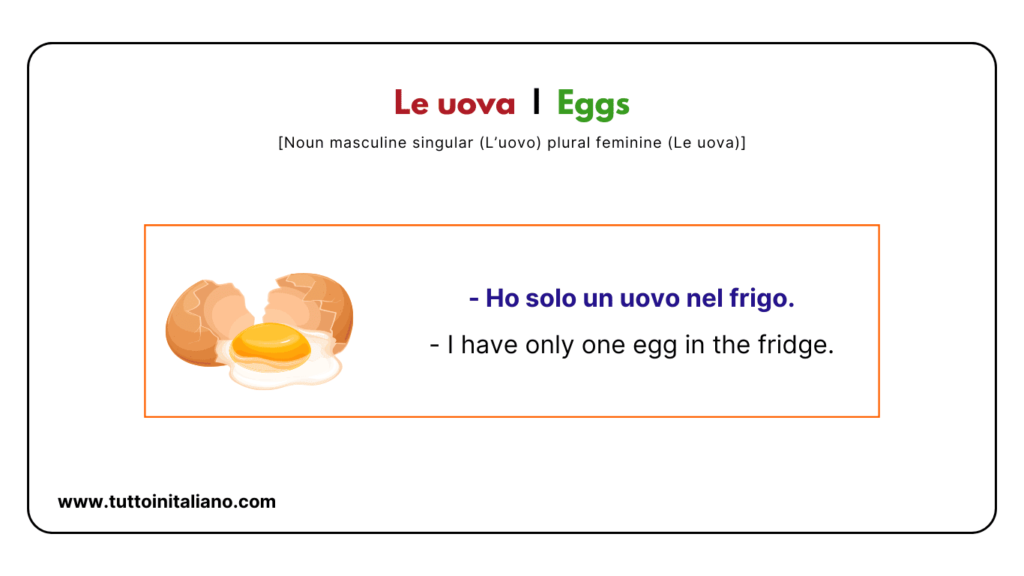 Italian Food and Drink vocab | 20+ Easy Italian vocabulary with (Examples). 31 Italian food and drink