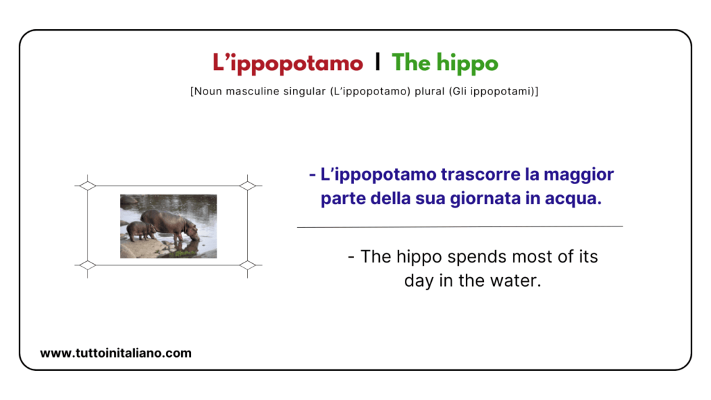 Italian vocab words