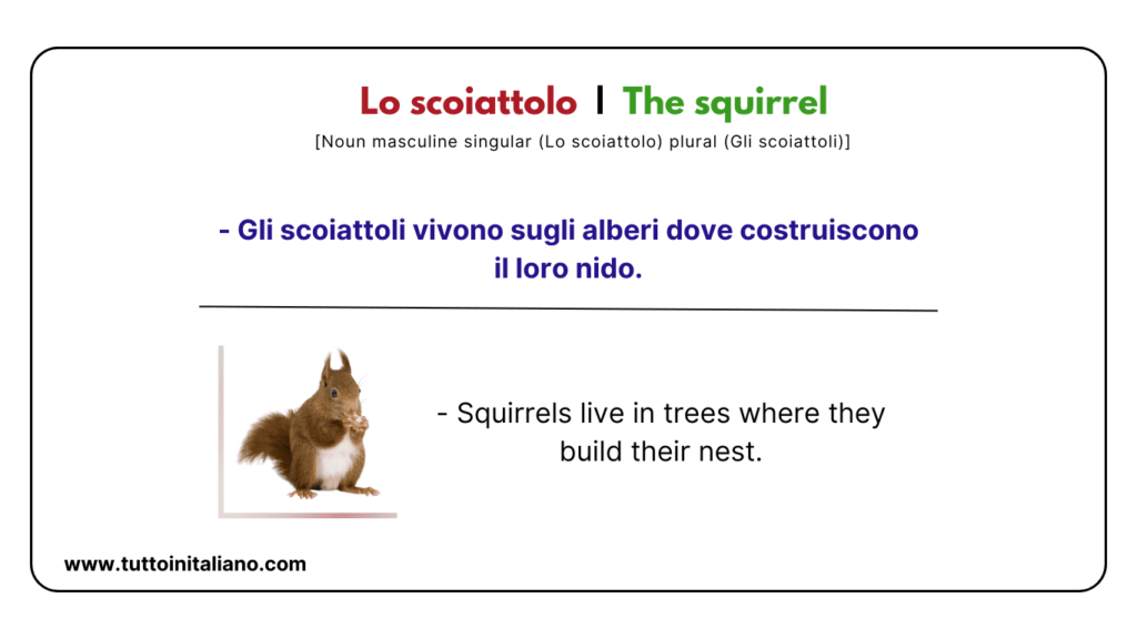 Italian vocab words