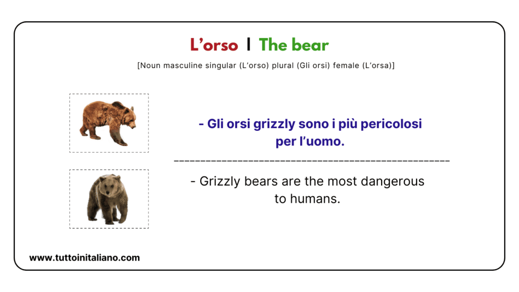 Italian vocab words
