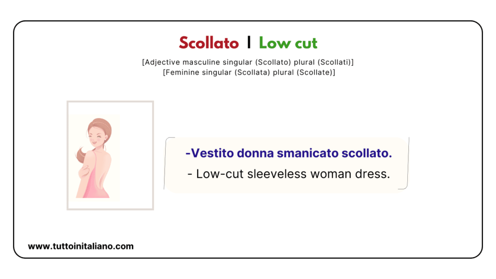 30+ Italian adjectives to describe clothes with Examples | Easy learn Italian adjectives. 30 Scollato Low cut tuttoinitaliano