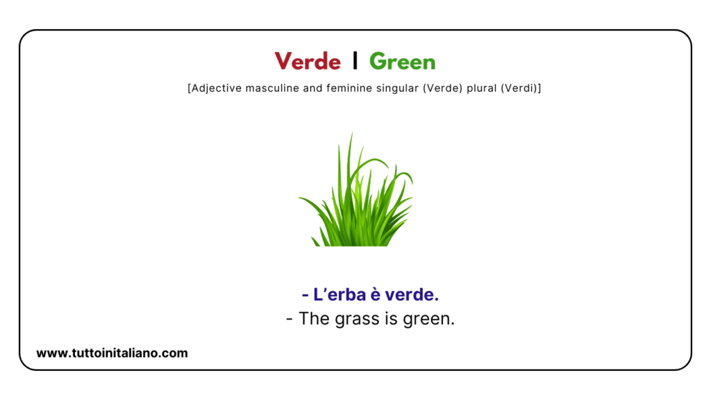 Italian A1 Vocabulary: Color names with easy examples for each word. 15 Italian a1 vocabulary