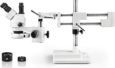 Vision Scientific tuttoinitaliano