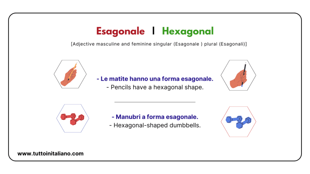 Easy learn 25 names of Shapes in Italian and Materials with Examples and Exercises 15 Shapes in Italian