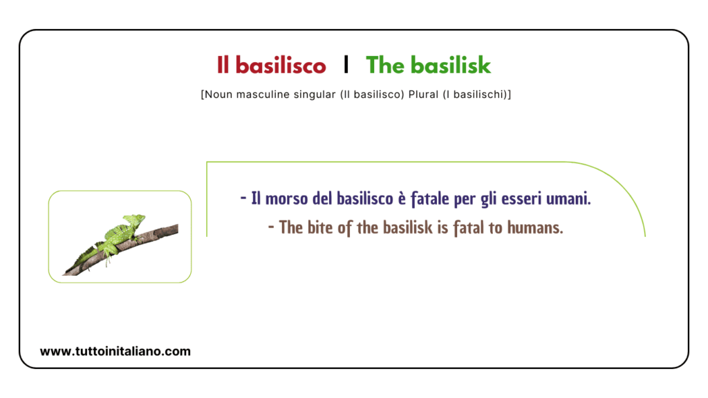 Easy learn 20 names of Reptiles and Amphibians in Italian with examples. 30 Reptiles and amphibians in Italian