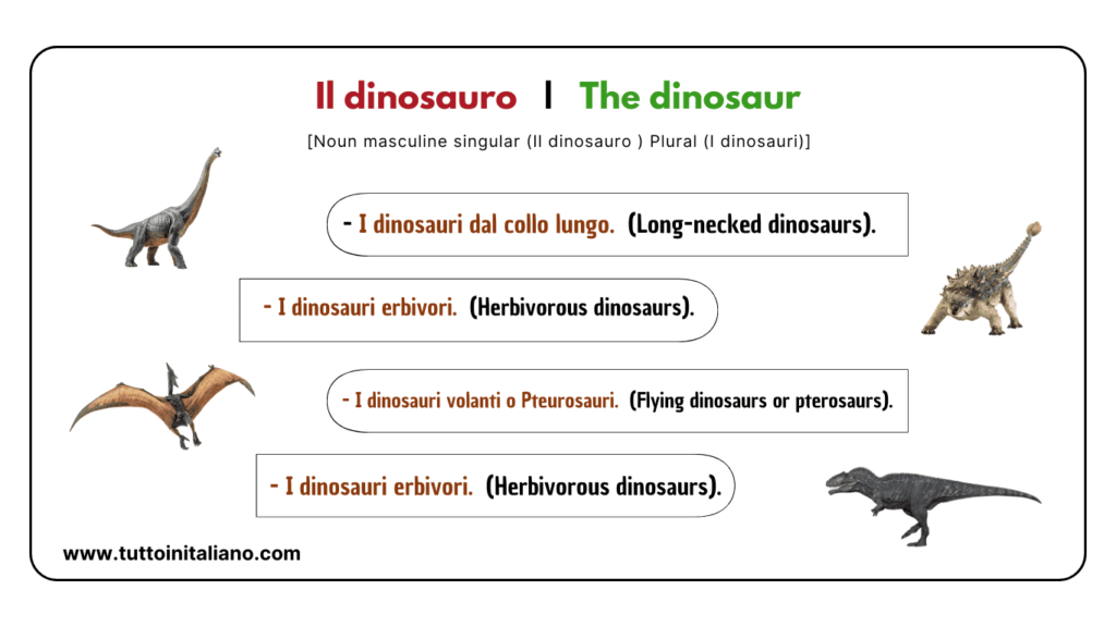 Easy learn 20 names of Reptiles and Amphibians in Italian with examples. 12 Reptiles and amphibians in Italian