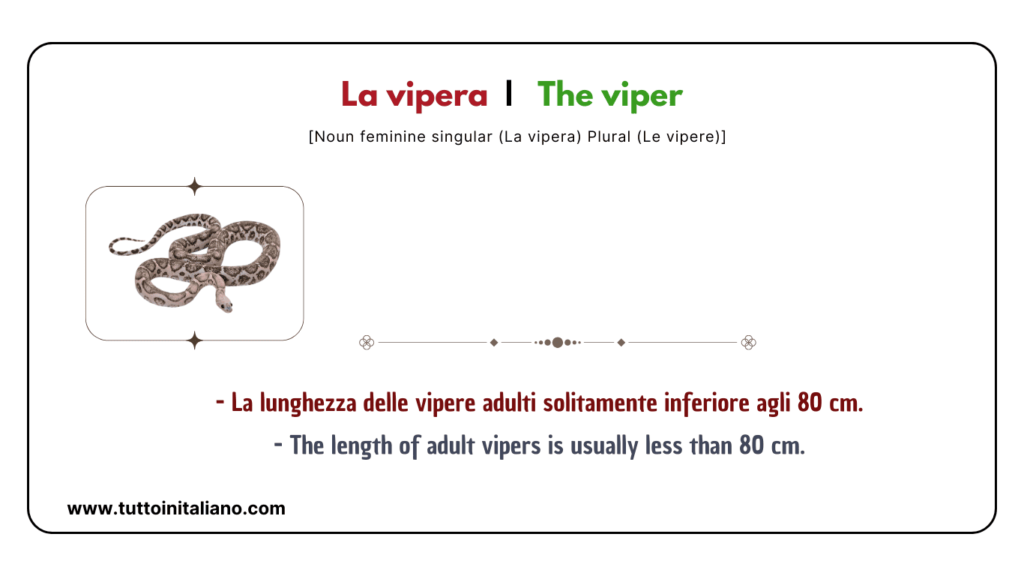 Easy learn 20 names of Reptiles and Amphibians in Italian with examples. 20 Reptiles and amphibians in Italian