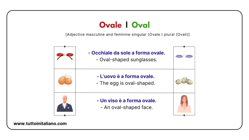 Easy learn 25 names of Shapes in Italian and Materials with Examples and Exercises 13 Shapes in Italian