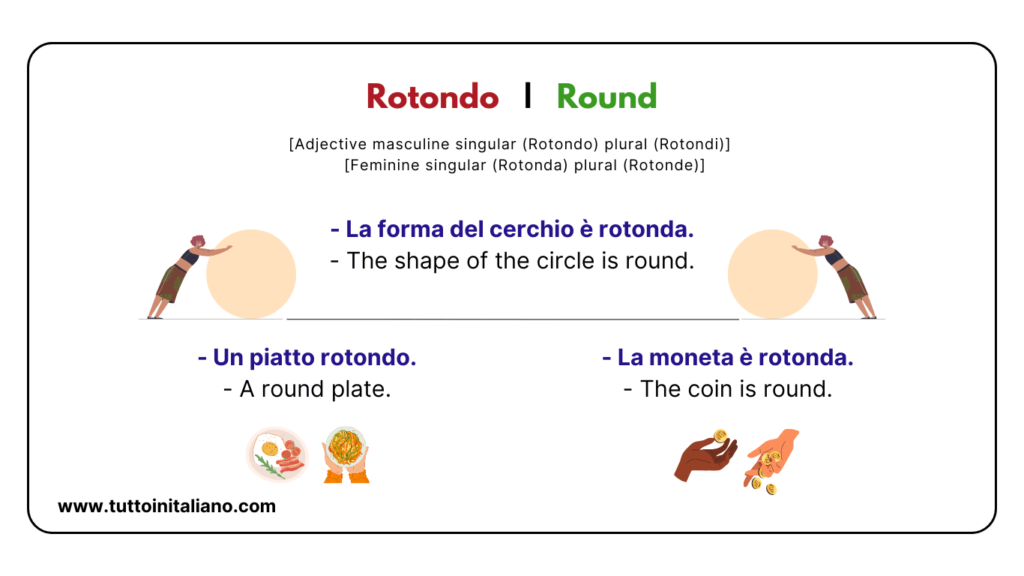 Easy learn 25 names of Shapes in Italian and Materials with Examples and Exercises 7 Shapes in Italian