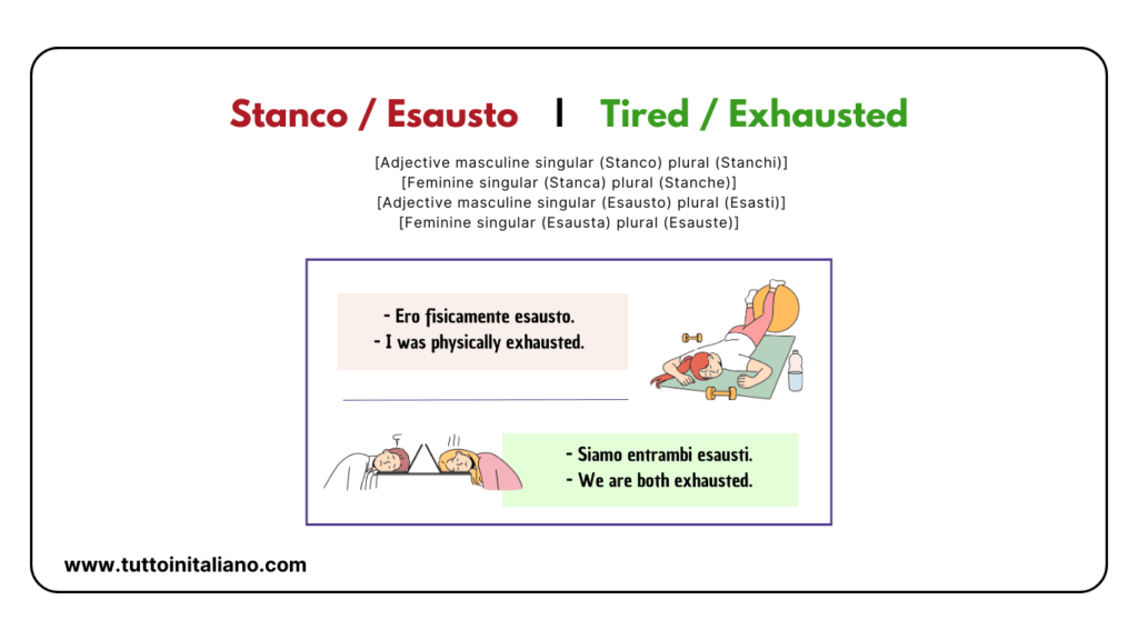 Easy learn how to describe the human character in Italian (Part 1) 23 Describe the human character in Italian