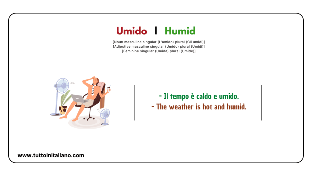 20+ Easy adjectives to describe things in Italian (part 4) 33 describe things in Italian