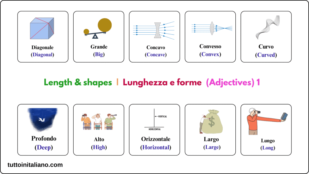 Length & shapes / Lunghezza e forme 3 Length & shapes - Lunghezza e forme (adjective) 1