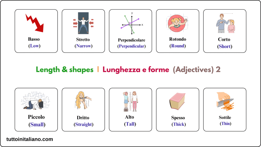 Length & shapes / Lunghezza e forme 4 Length & shapes - Lunghezza e forme (adjective) 2