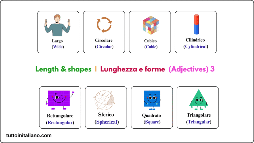 Length & shapes / Lunghezza e forme 5 Length & shapes - Lunghezza e forme (adjective) 3