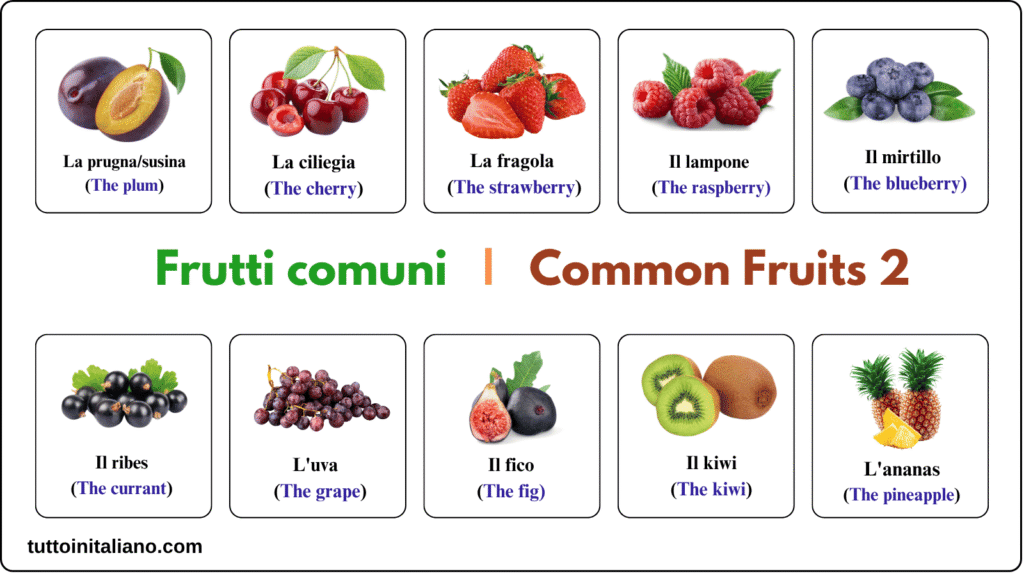 I frutti / The fruits 2 Common Fruits 2 tuttoinitaliano