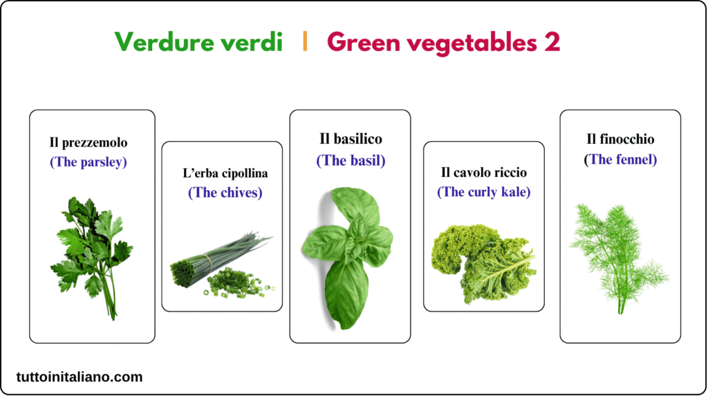 Learn the Italian language A1