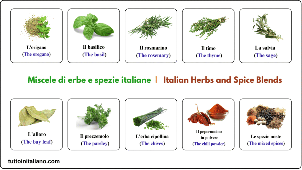 Learn the Italian language A1 Italian Herbs and Spice Blends