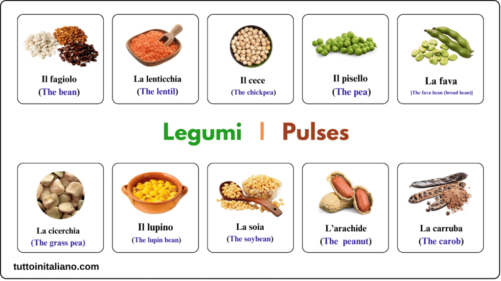 Learn the Italian language A1
